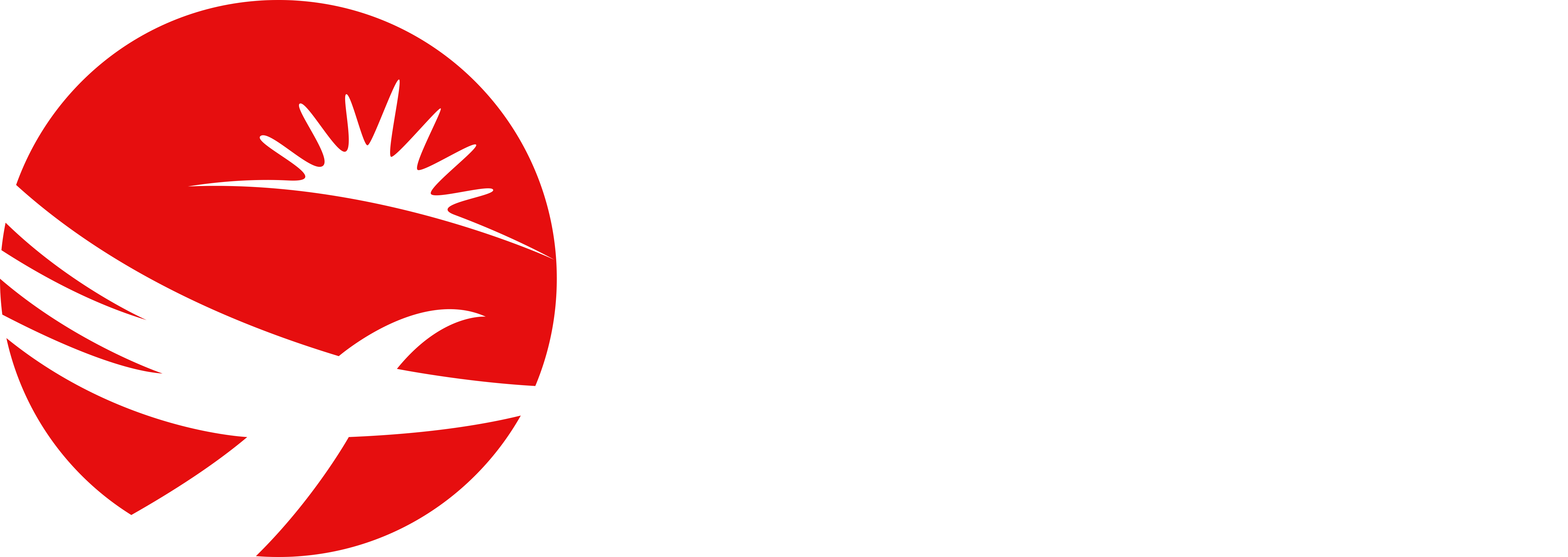 OEM Automotive Bumper Injection Molds Manufacturing Suppliers